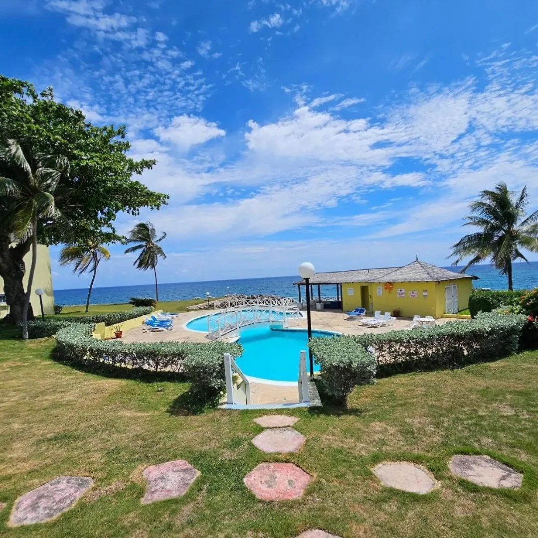 Palms By The Sea Apartamento Saint Maryʼs Jamaica